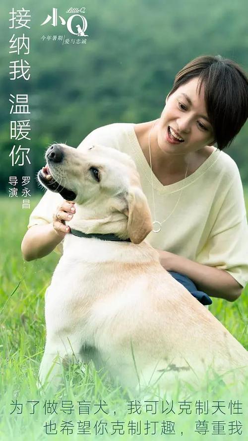 高仿劳伦斯大学文凭